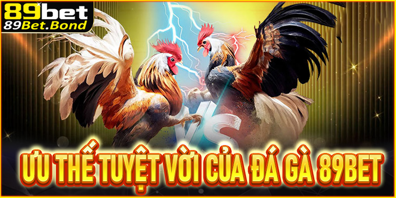 Đánh giá những ưu thế tuyệt vời của đá gà 89BET