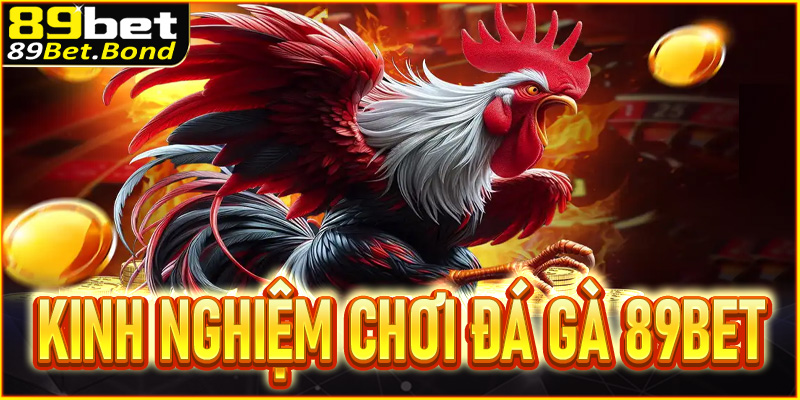 Kinh nghiệm chơi đá gà 89BET bất bại từ cao thủ