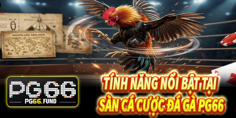 Khám phá những tính năng nổi bật tại sàn cá cược đá gà PG66